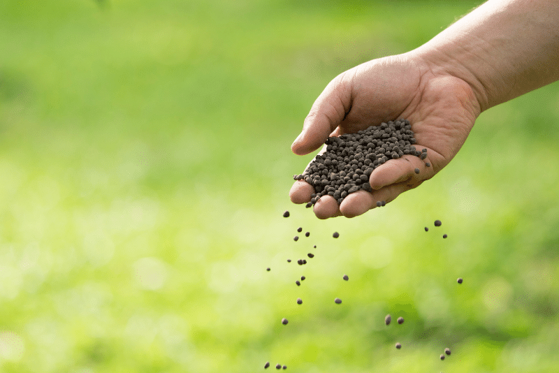 Mejores fabricantes de bolsas para envasar al vacío - Osona Seal Pack